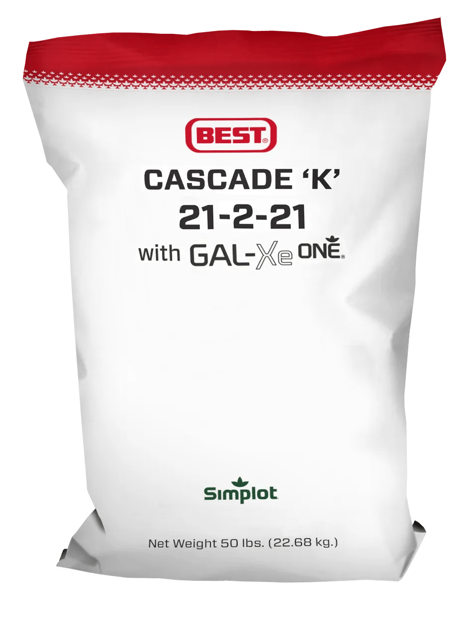 Cascade 'K' 21-2-21 with GAL-XeONE®