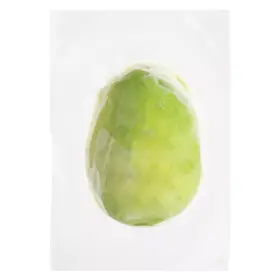 Simplot Harvest Fresh® Avocados Individually Wrapped Avocado Halves, Frozen, Back Innerpack