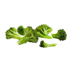 Simplot Simple Goodness™ Broccoli Florets, Wet Pack, Prepared